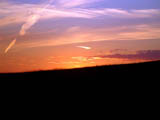 Wittenham Clumps (vi)